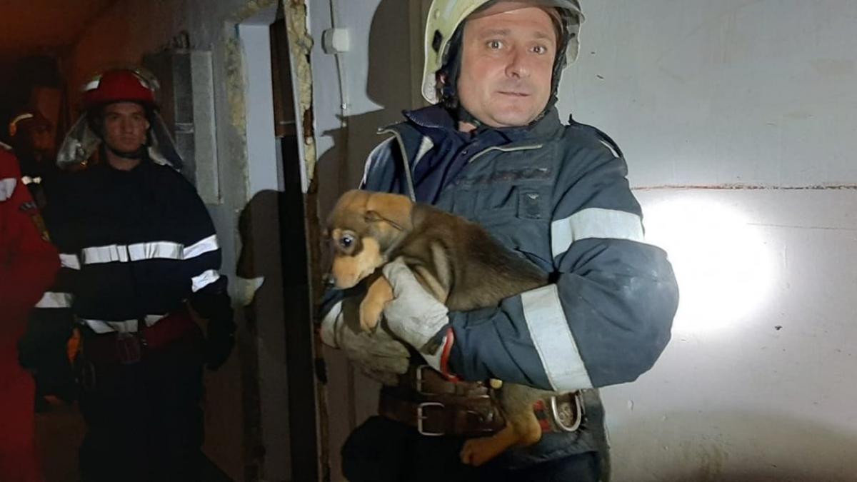 explozie devastatoare urmata de panica generala intr un bloc de locuinte din tulcea