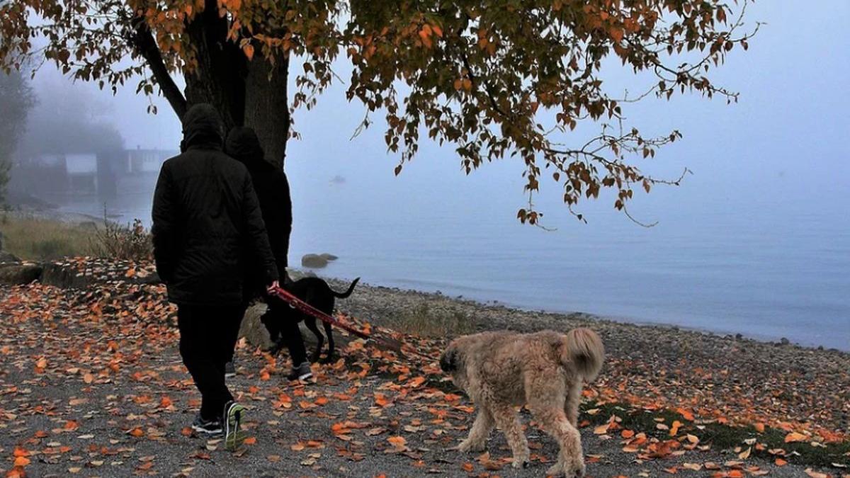 horoscop 15 noiembrie 2019 zodia care are impresia ca e data la o parte