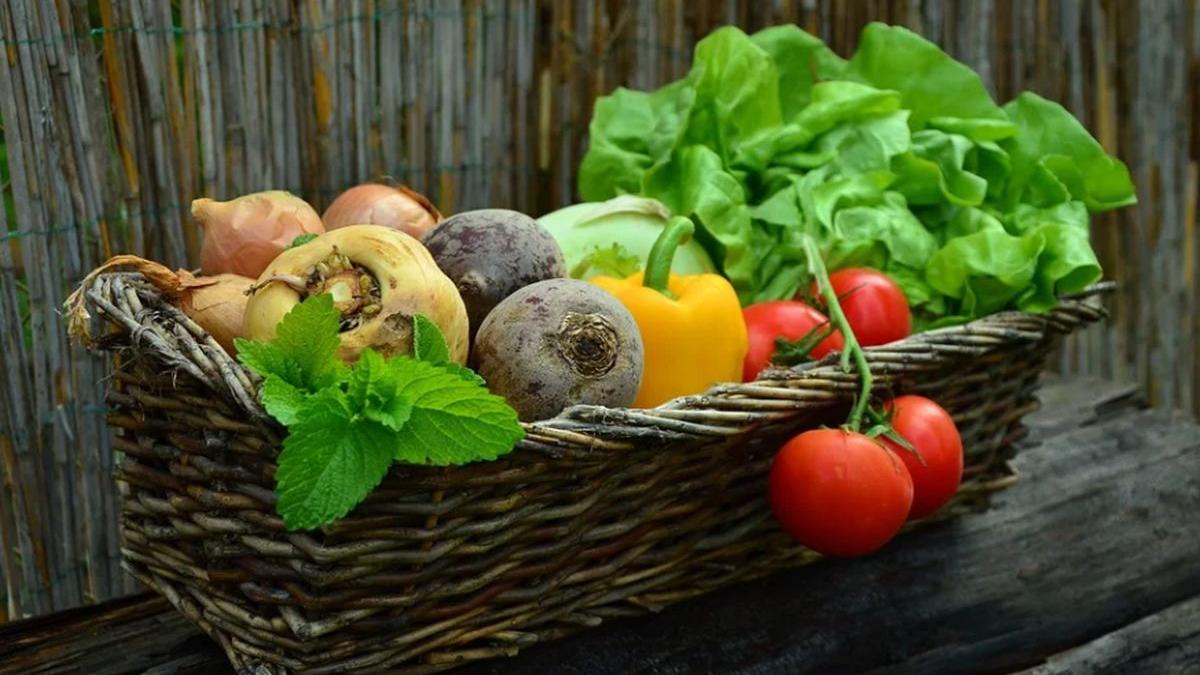 o vitamina mai putin cunoscuta poate intarzia imbatranirea