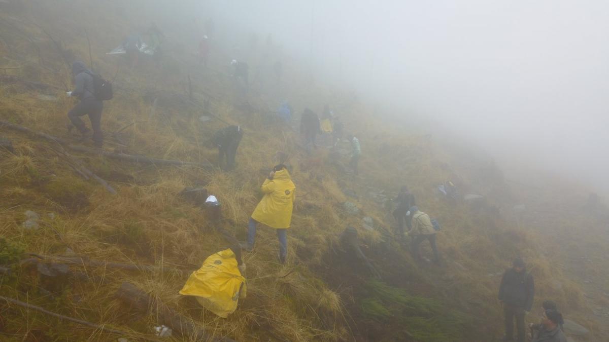 marturia lui gabriel paun presedintele agent green care a filmat cu netflix despre mafia lemnului a