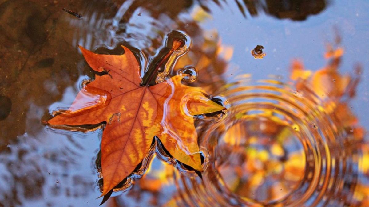 vremea cum va fi vremea in ziua alegerilor prezidentiale