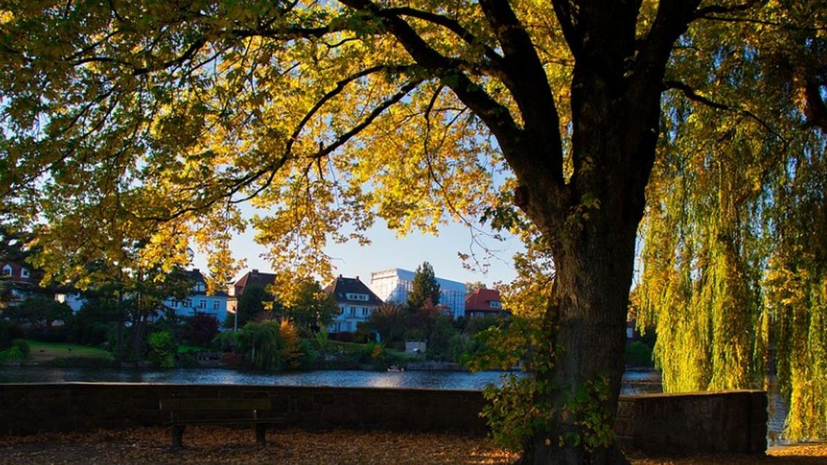 agricool caldura de noiembrie mare pericol pentru agricultori la ce sunt expusi pomii din romania
