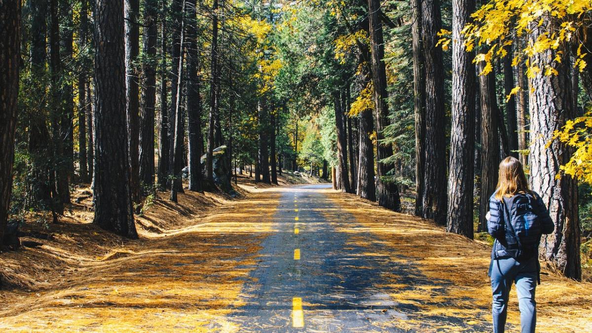 vremea prognoza meteo pentru 17 noiembrie temperaturi inedite pentru aceasta perioada