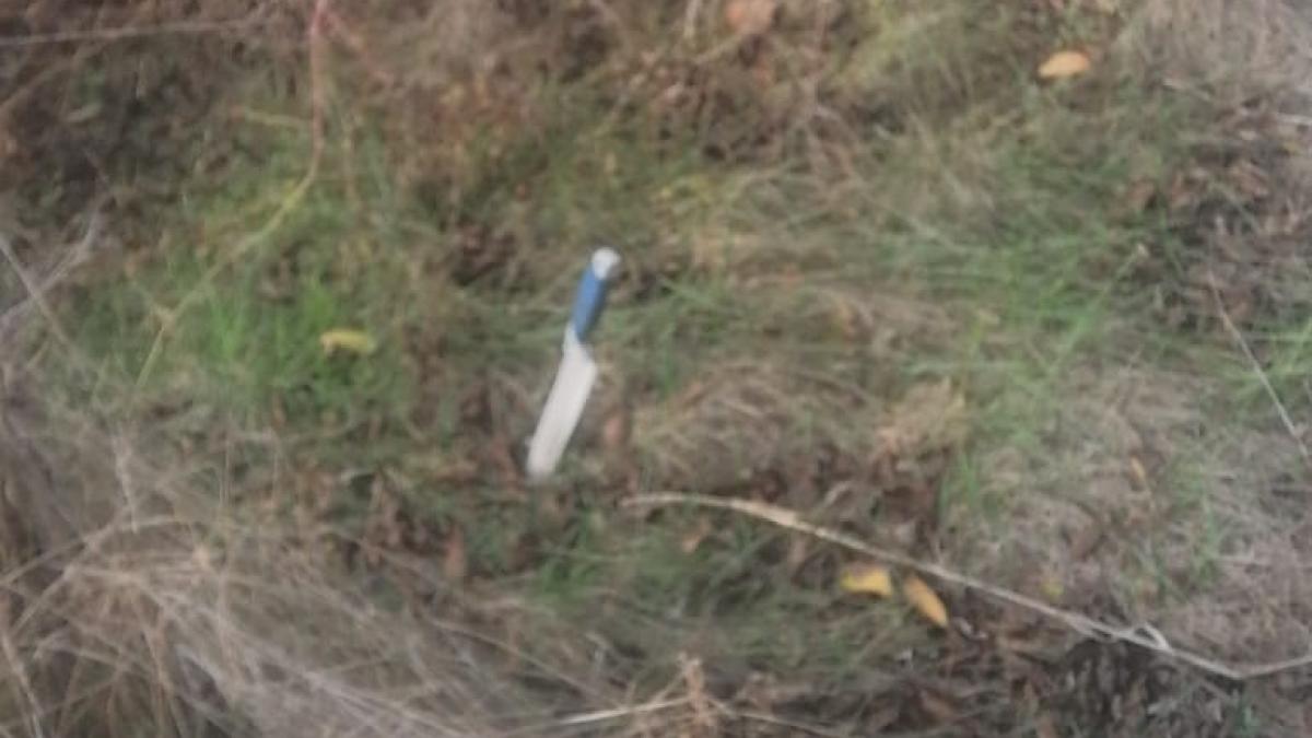 criminalul vietnamezului ucis in capitala a fost prins politistii au gasit inclusiv cutitul folosit