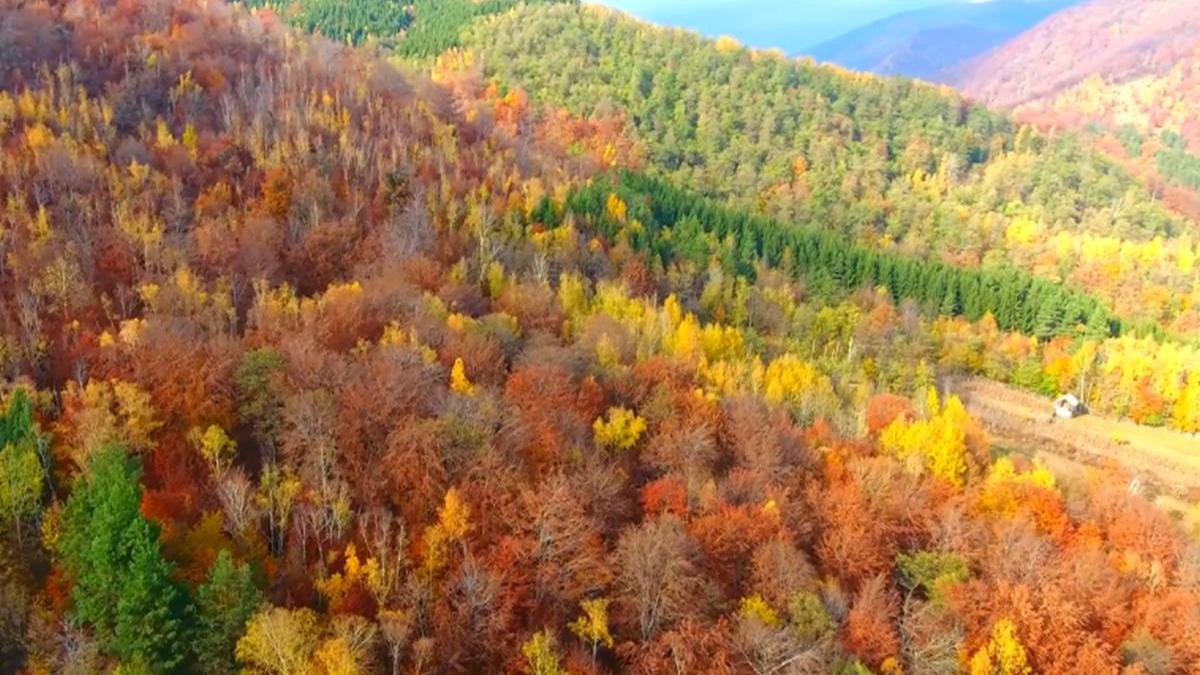 transalpina cea mai inalta sosea din romania vazuta toamna din drona video spectaculos