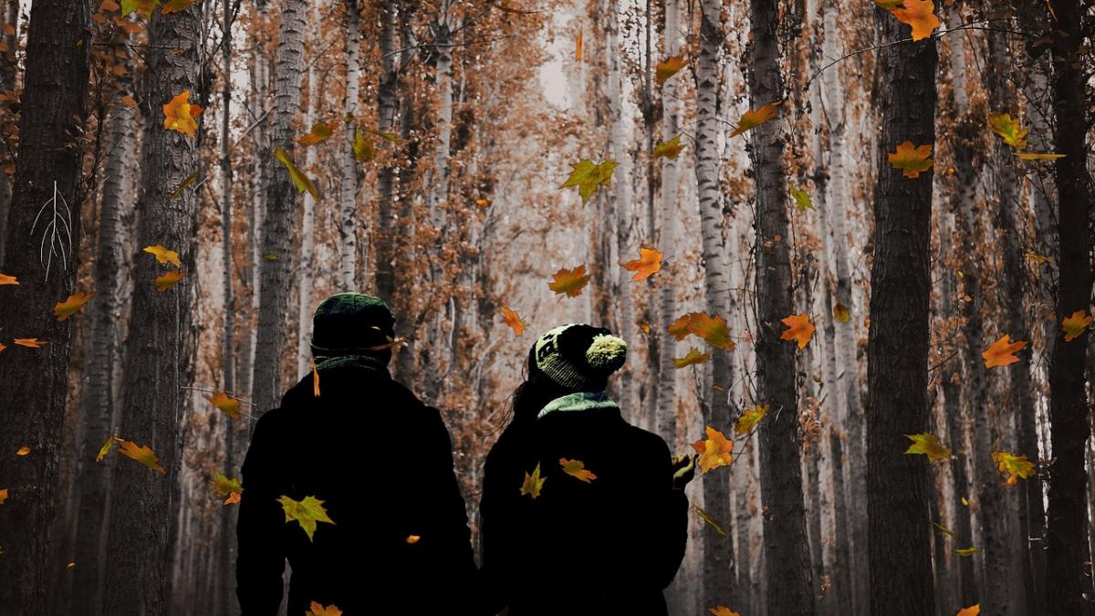 vremea prognoza meteo pentru 19 noiembrie schimbare brusca de temperaturi