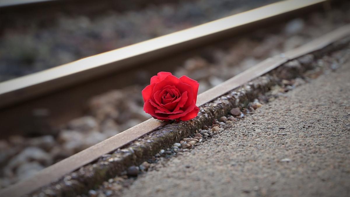 o tanara s a spanzurat in casa iar iubitul ei s a aruncat in fata trenului explicatiile bizare ale