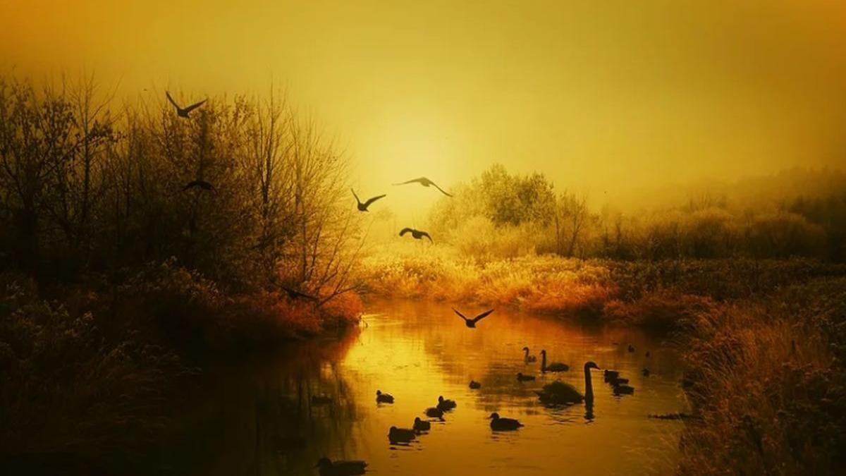 vremea se va raci prognoza meteo pentru miercuri joi si vineri