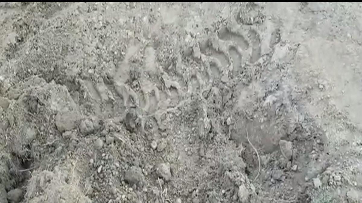 descoperire socanta la doi pasi de caracal primele imagini cu locul in care au fost gasite doua