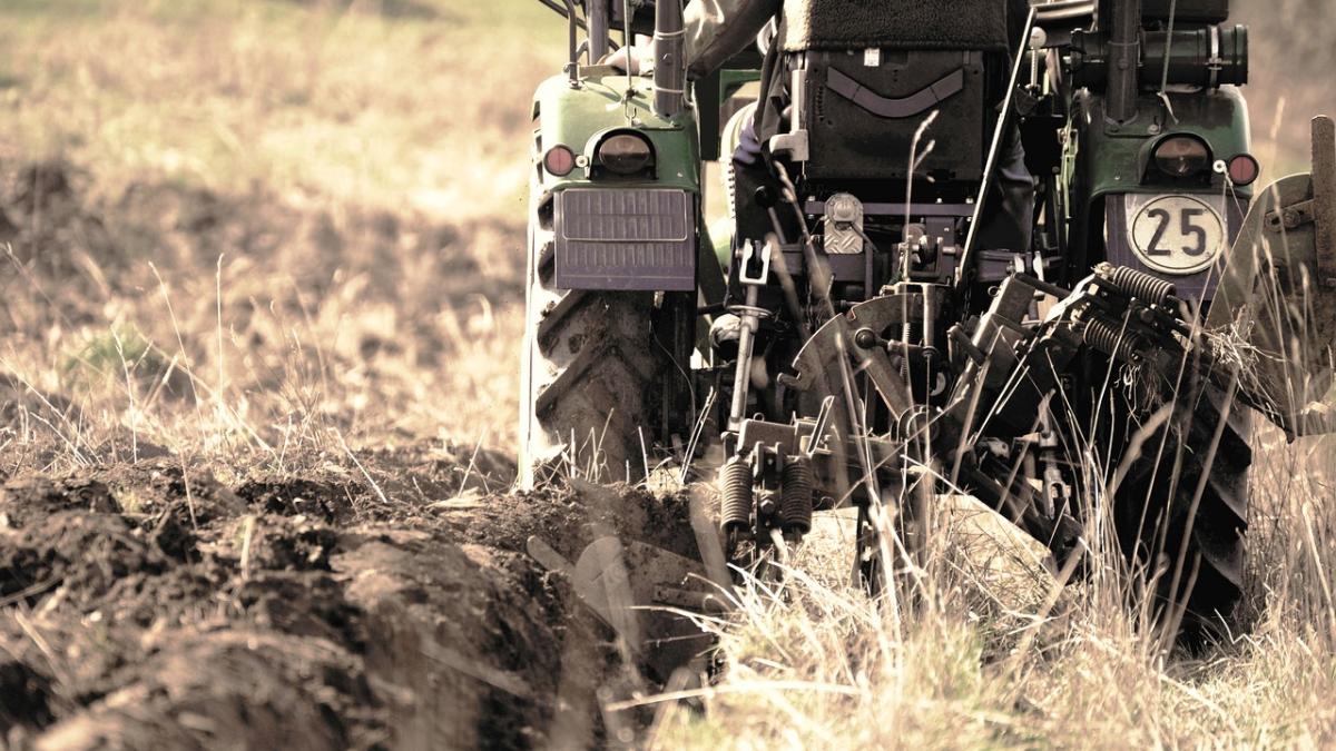 misterul scheletelor descoperite pe un camp din olt aproape elucidat ce au observat legistii cand