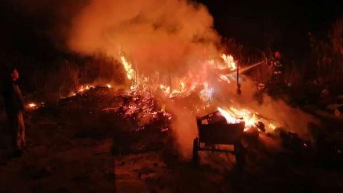 barbat carbonizat in timis dupa ce adapostul improvizat in care traia a luat foc