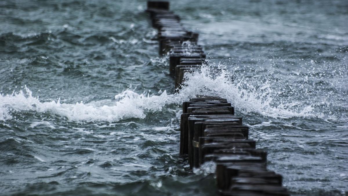 corpul unei romance a fost gasit plutind in apele marii adriatice familia este in stare de soc cine
