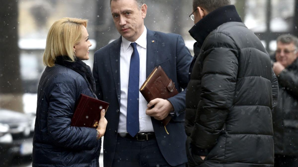 se contureaza primele tabere in psd mihai fifor ii da dreptate gabrielei firea in scandalul din