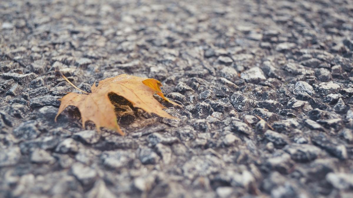 vremea prognoza meteo pentru doua saptamani cum va fi vremea de sf nicolae