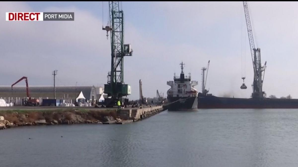 imagini cu operatiunea de salvare a animalelor de pe nava rasturnata in portul midia 119 oi au fost