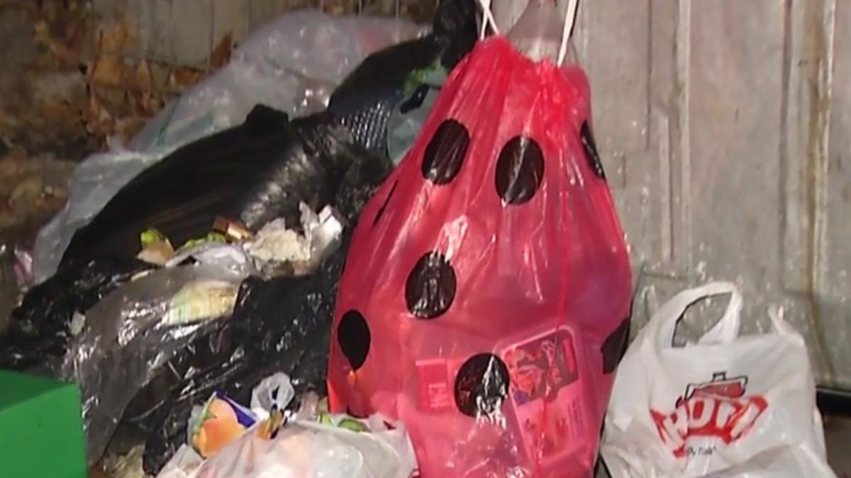 situatie revoltatoare in romania oamenii arunca zilnic mii de tone de mancare