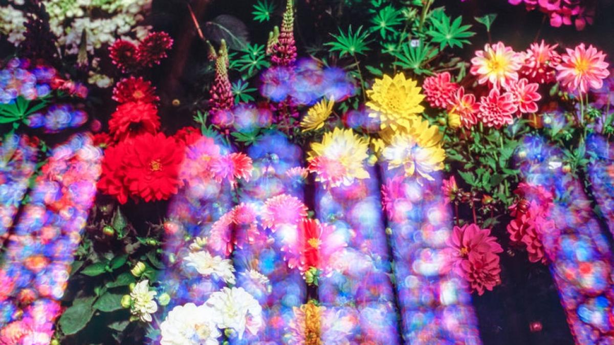 horoscop luna noua in sagetator 2019 zodiile care intra intr o perioada benefica