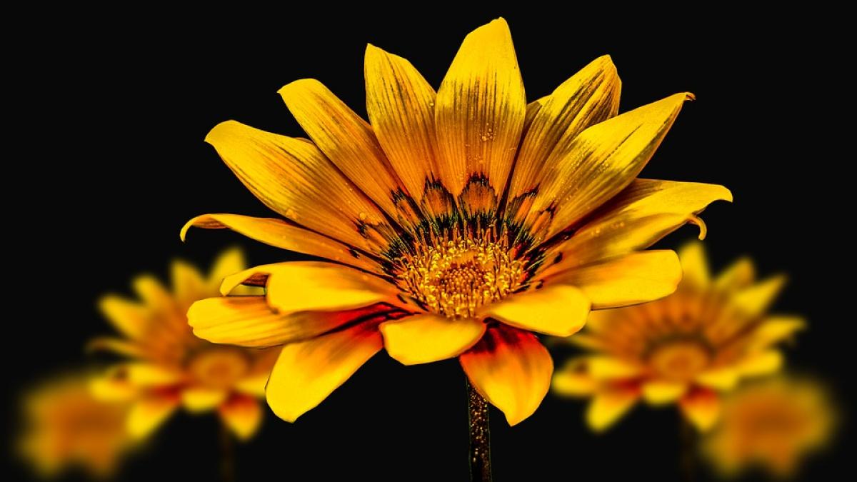 mesaje sf andrei cele mai inspirate mesaje urari si felicitari pe care sa le trimiti celor dragi