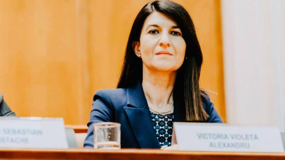 ministrul muncii lista problemelor generate de legea pensiilor este lunga