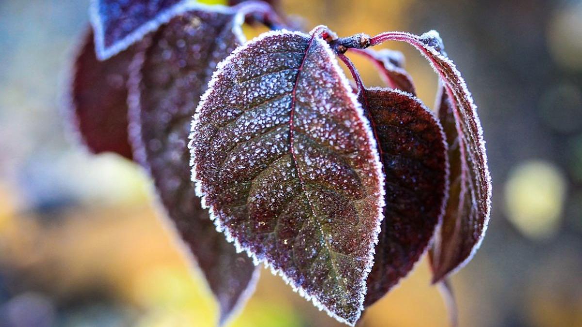 vremea se mentine deosebit de rece prognoza meteo pana vineri