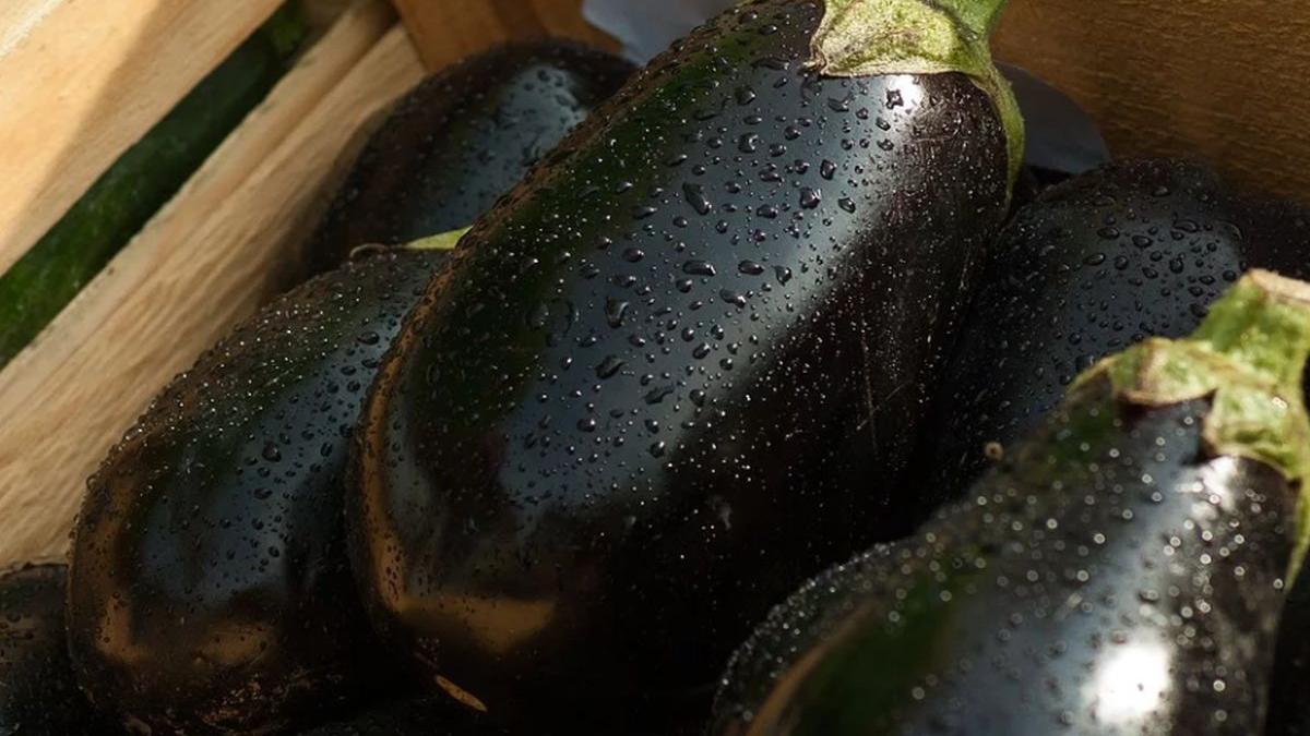 dieta cu vinete slabesti incet si sigur