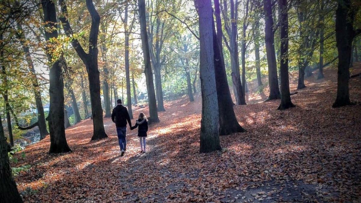 zeci de parinti din romania si au violat copiii pentru bani detalii ingrozitoare din dosar