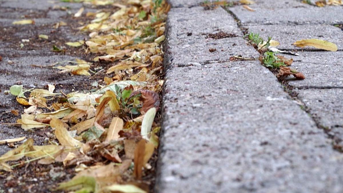 descoperirea uluitoare facuta de arheologi pe strazile unui oras din china e uimitor