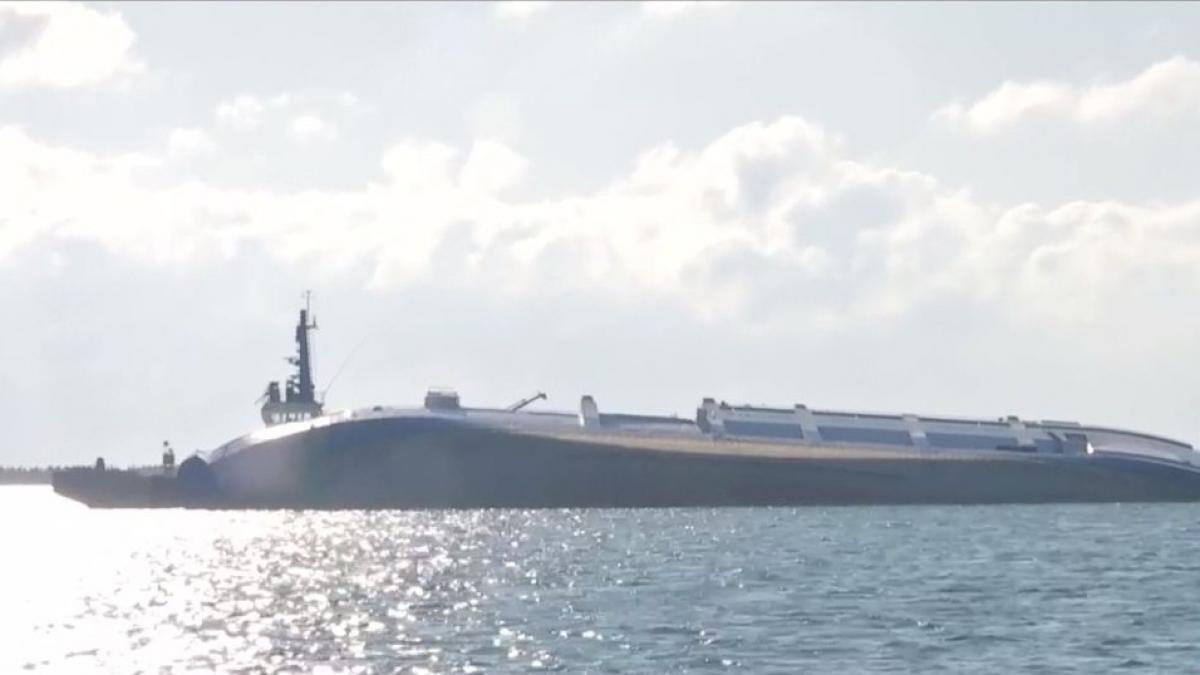 pericol ecologic in marea neagra mii de cadavre ale oilor zac pe nava scufundata video