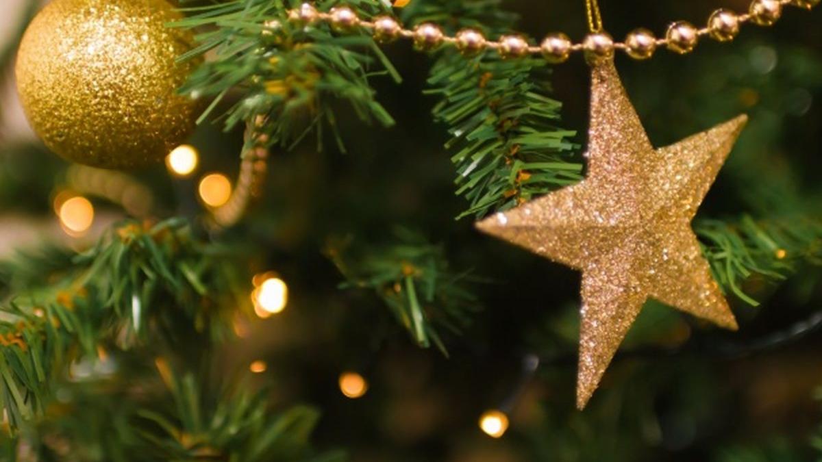 semnificatia bradului de craciun sigur nu stiai asta