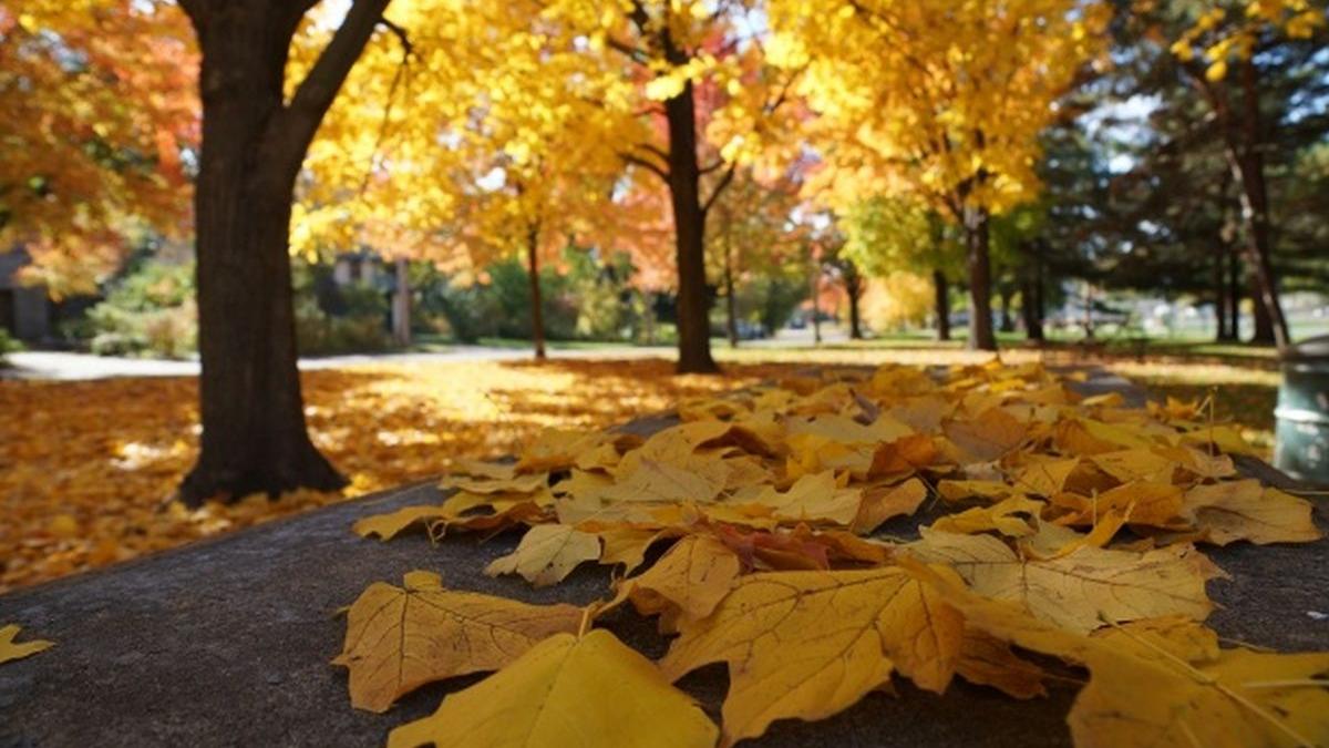 vremea se va incalzi in aproape toata tara prognoza meteo pana luni