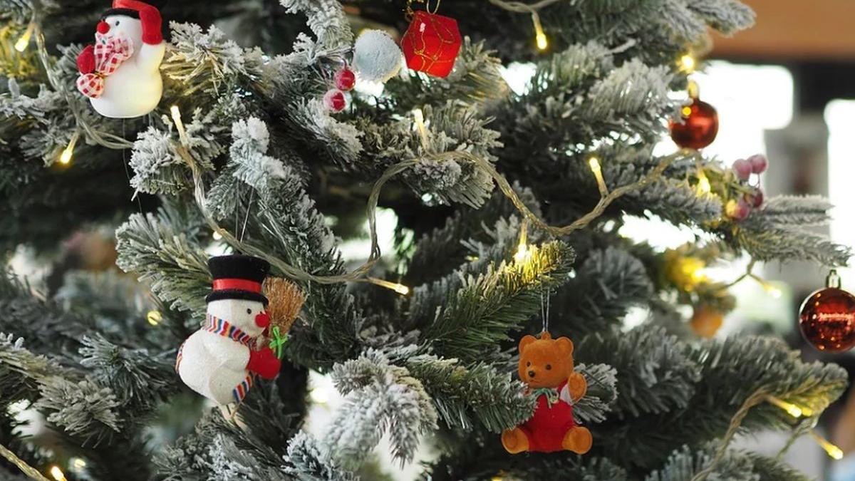 un batran din suceava a murit din cauza instalatiei de craciun cum s a intamplat tragedia