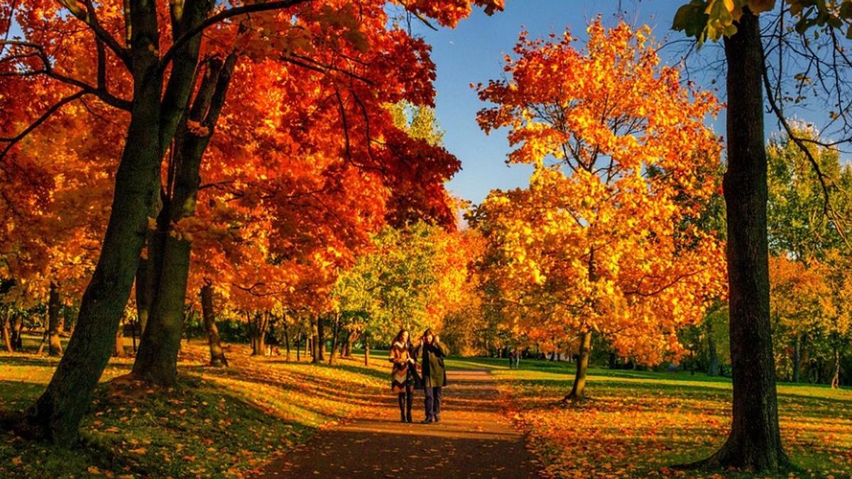 vremea se va incalzi usor prognoza meteo pana marti