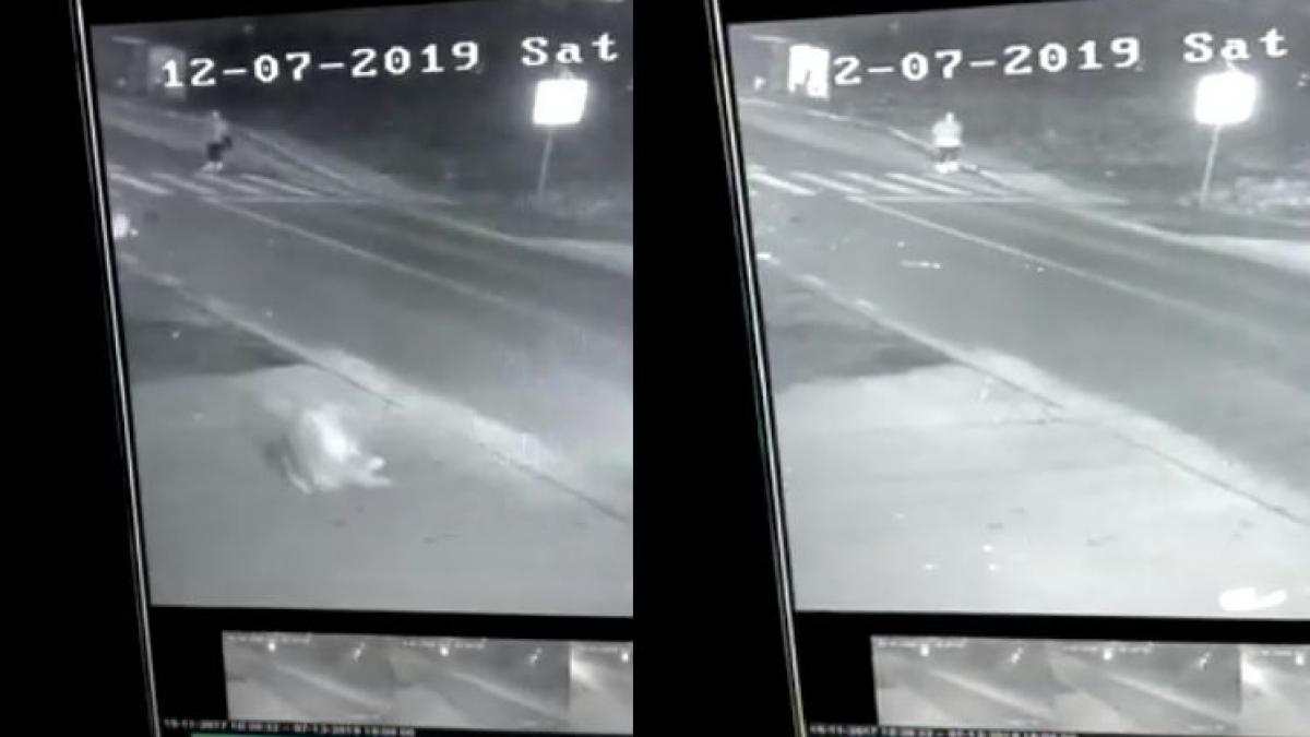 imagini socante momentul in care o adolescenta este spulberata pe trecerea de pietoni la cluj