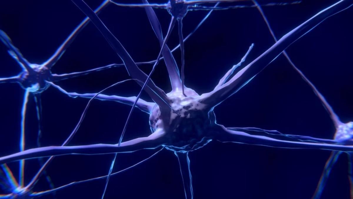 multi romani fac asta obiceiul care iti imbatraneste creierul cu cinci ani