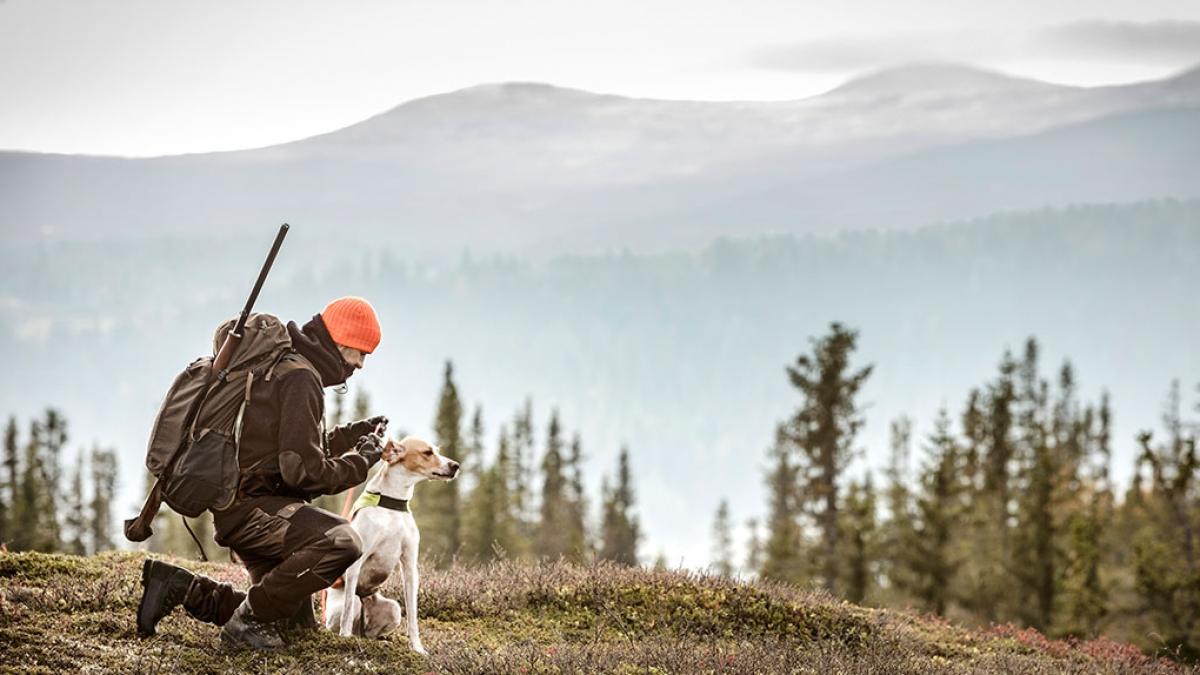 sfaturi de vanatoare merita sa cumparam cele mai bune echipamente pentru vanatoare