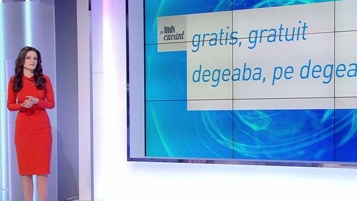 pe cuvant cu ana iorga cum folosim corect argoul