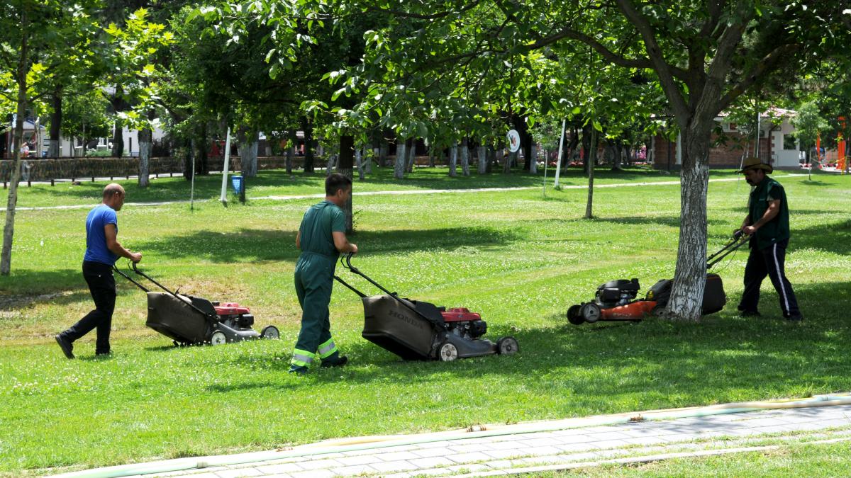 adp sector 4 cea mai buna companie de amenajari peisagistice din romania p