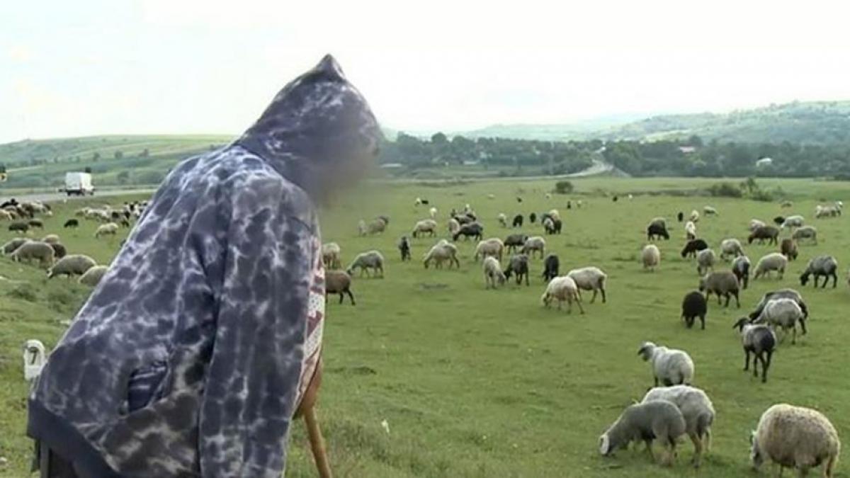 copil de 13 ani vandut de bunica sa unui cioban pentru o capra si cativa lei ii dadea tuica sa i