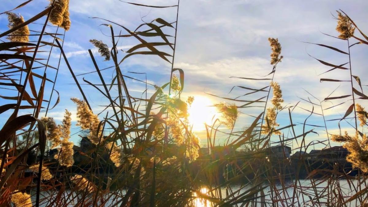noiembrie 2019 a doua cea mai calda luna noiembrie inregistrata in ultimii 140 de ani