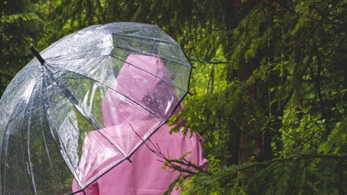 vremea meteorologii anunta cand vin ploile