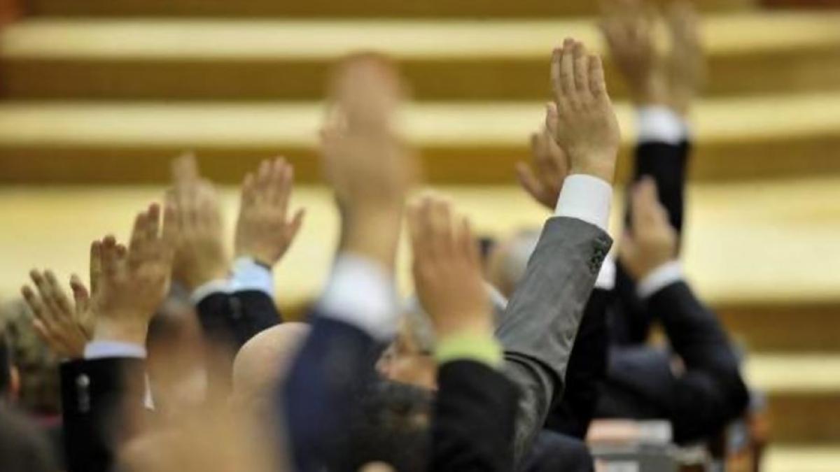 alocatii copii lider pnl pentru aplicarea acestei legi trebuie sa taiem cheltuielile bugetare