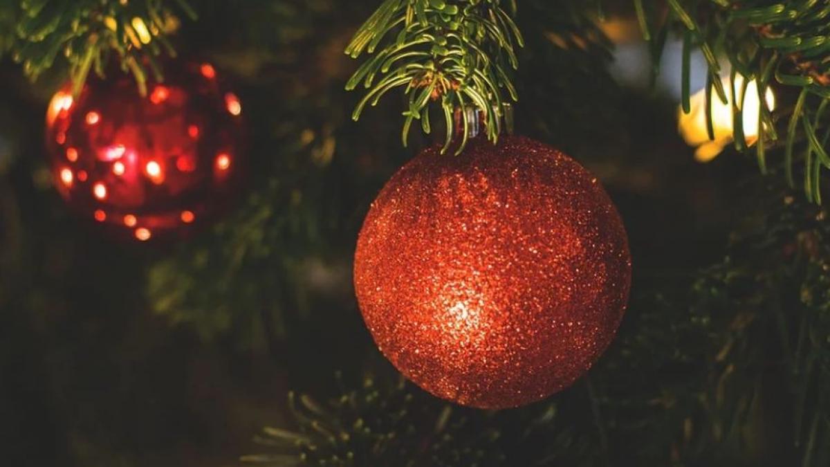 bradul de craciun te poate imbolnavi