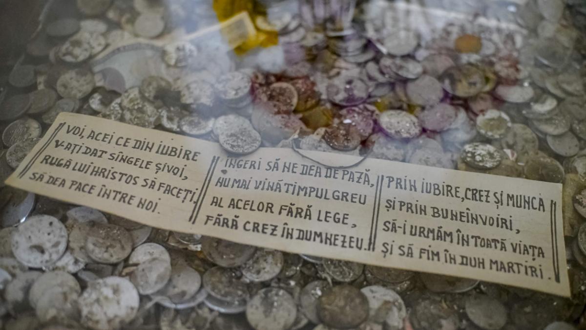 43 de suflete incinerate la timisoara pentru 2 000 de lei de caciula un pas gresit si sunteti langa