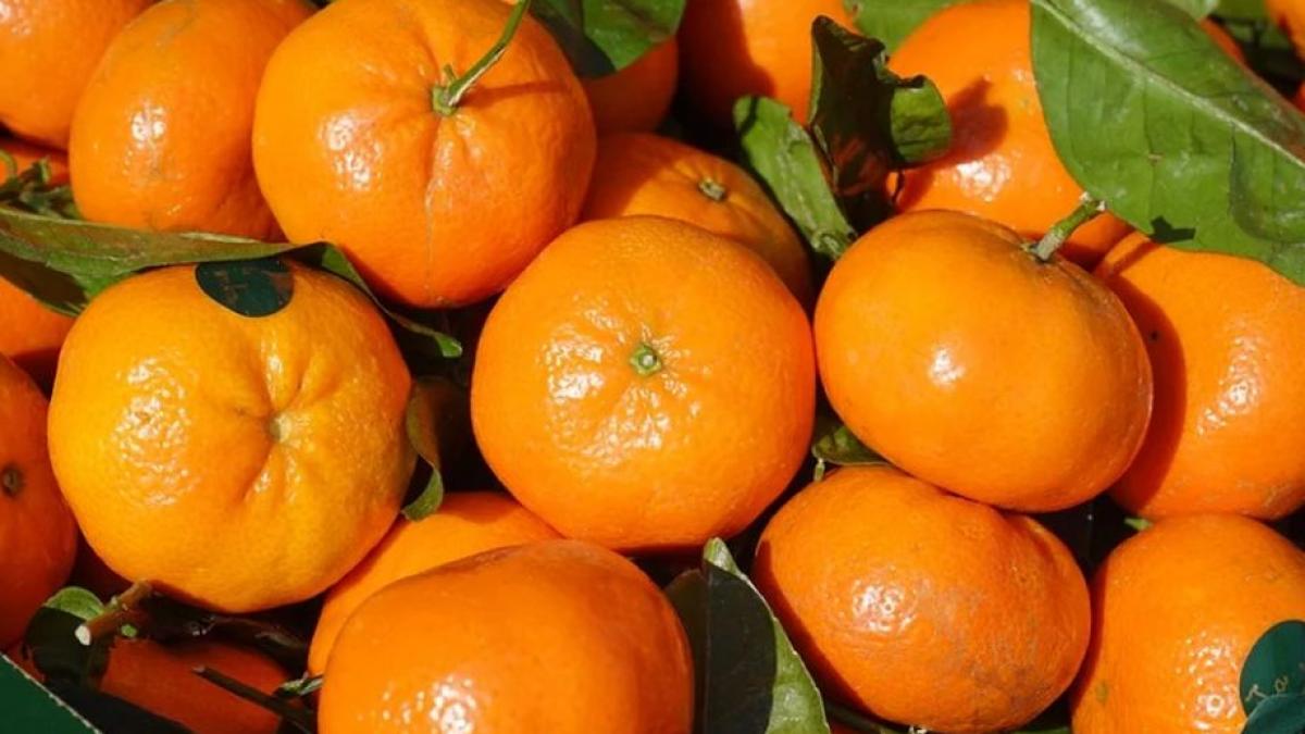 mananci clementine in aceasta perioada a anului trebuie neaparat sa stii asta