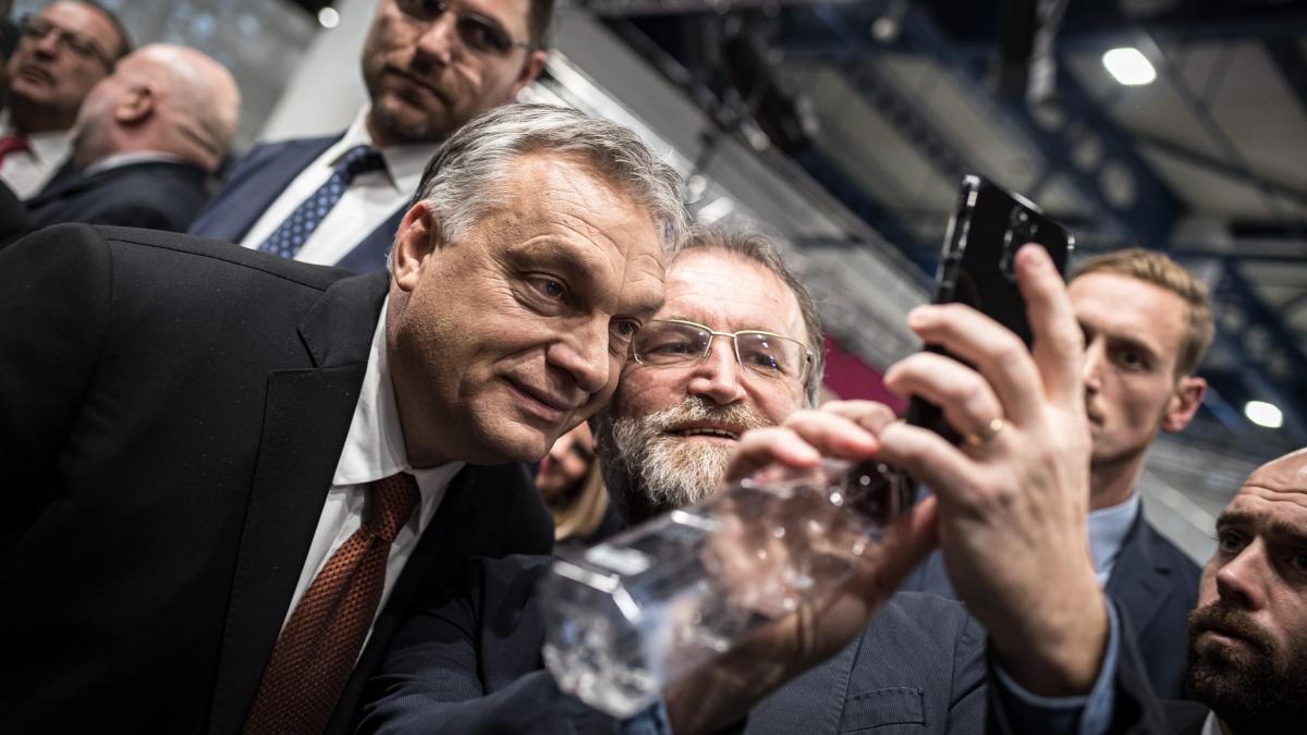 guvernul maghiar preia sase clinici private de fertilizare in vitro pentru a creste natalitatea