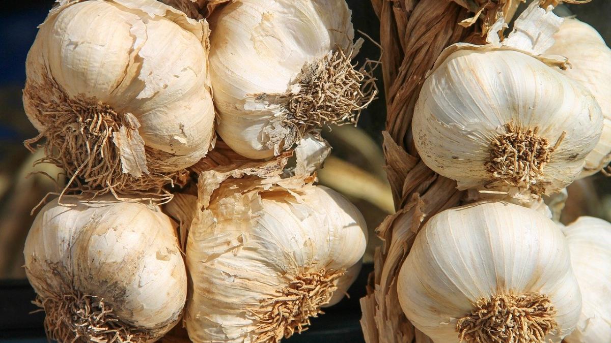 dieta alimentul banal care face miracole pentru organismul tau