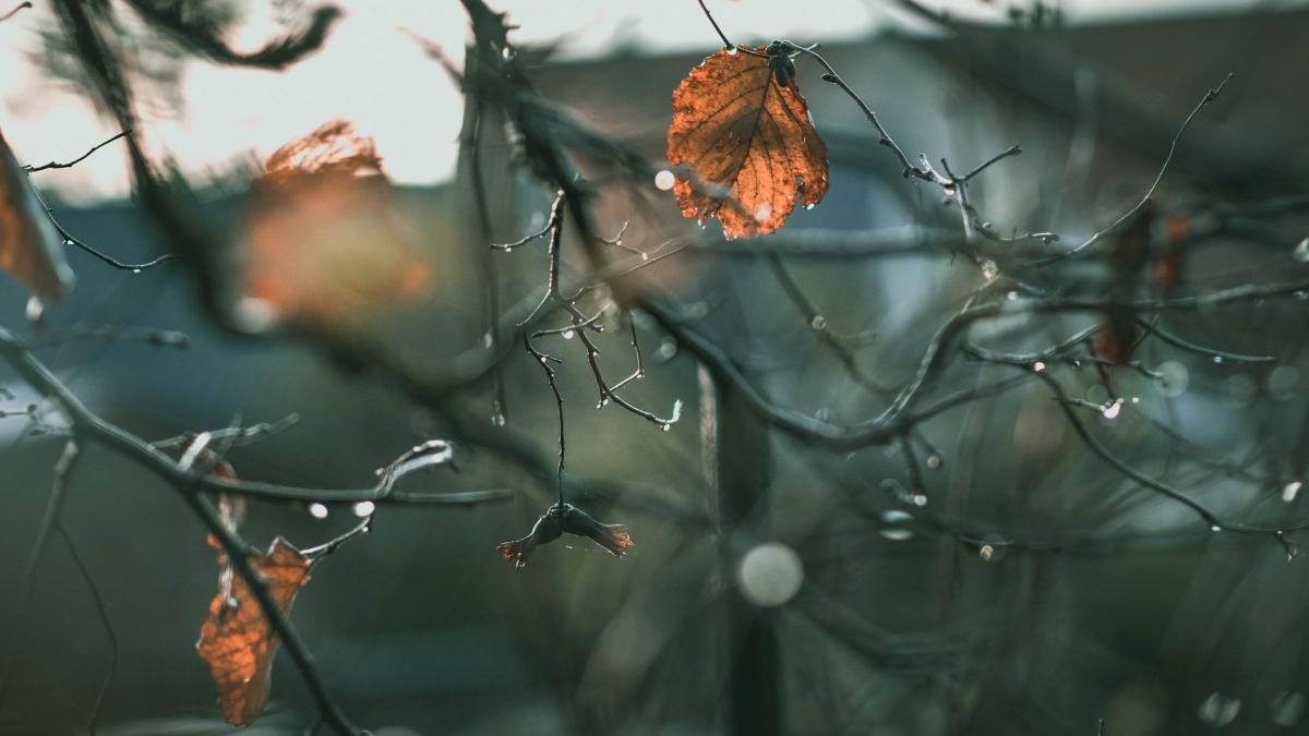 vremea prognoza meteo pentru 23 decembrie vremea se schimba radical