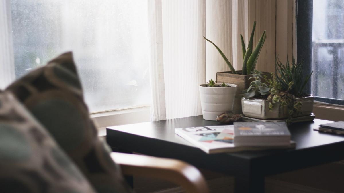 tatal a plecat in vacanta insa i a lasat fiicei sale instructiuni pentru perioada cat va lipsi cand