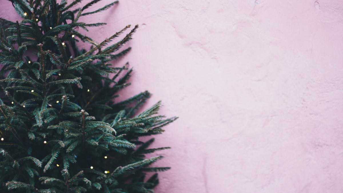 a trecut craciunul si te pregatesti sa arunci bradul afla la ce ti poate folosi