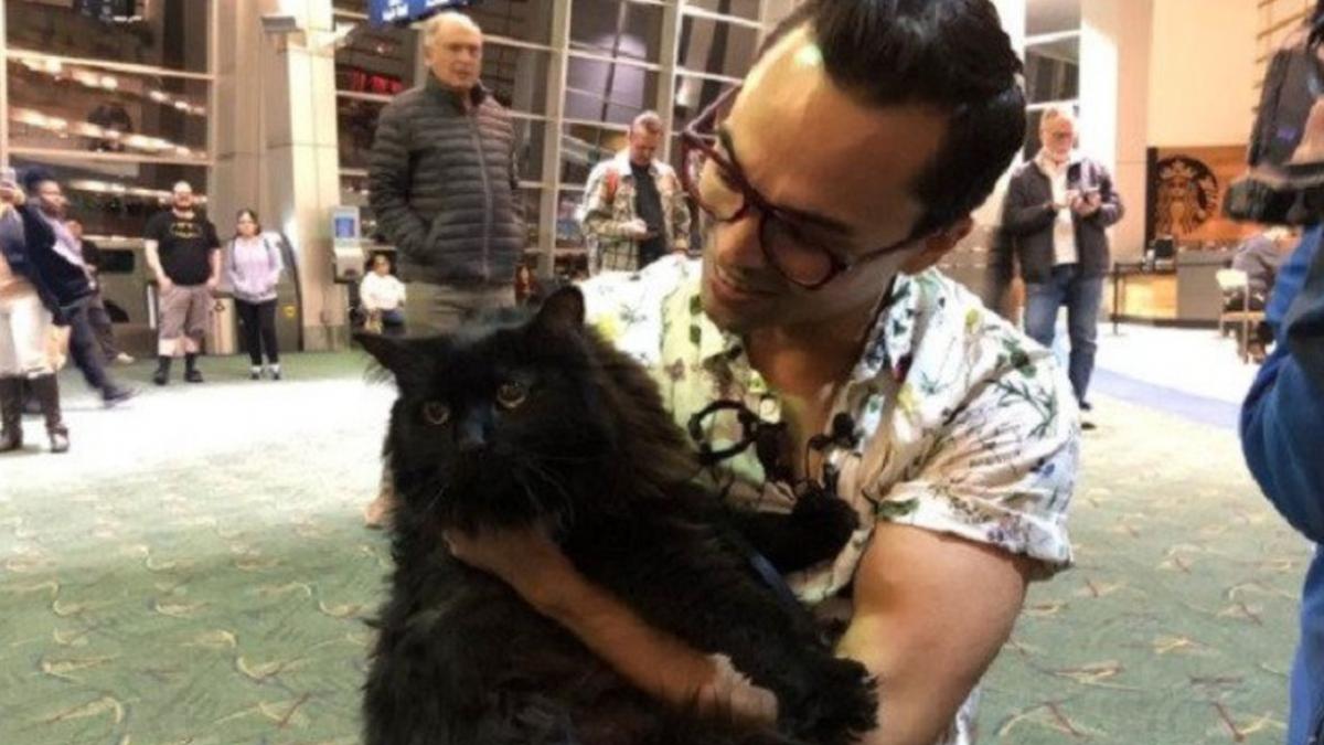 o pisica a fost gasita la aproape 2 000 de kilometri de casa in alta tara dupa cinci ani cum a